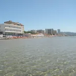 Parrini 폴로니카