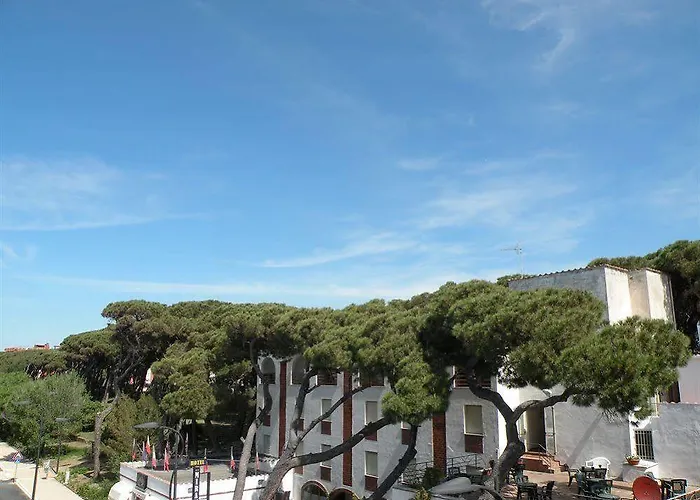 Parrini 3*
