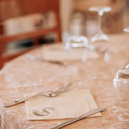Hotel Parrini 3*